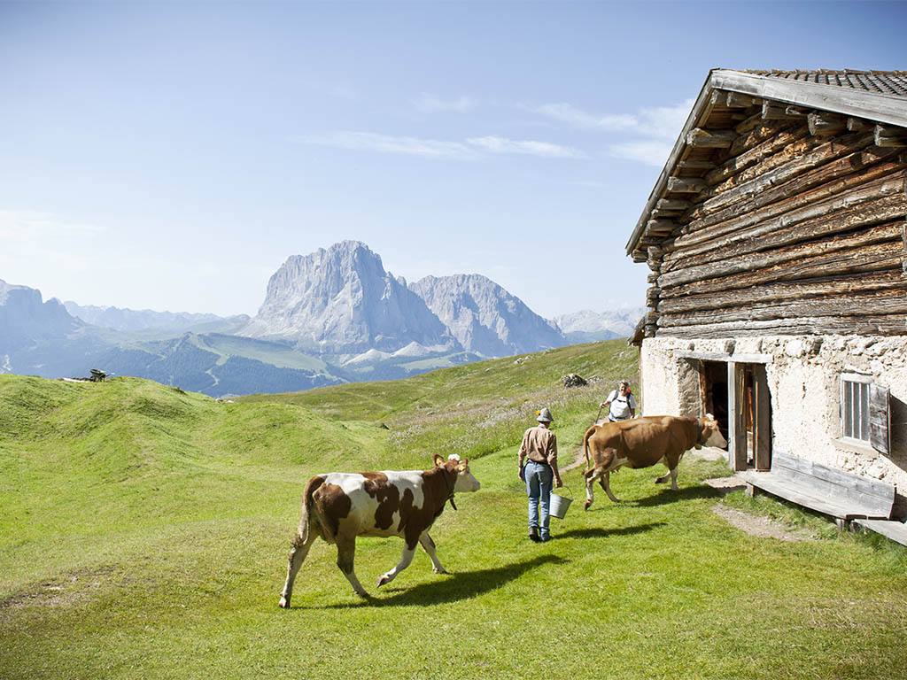 Hiking Dolomites