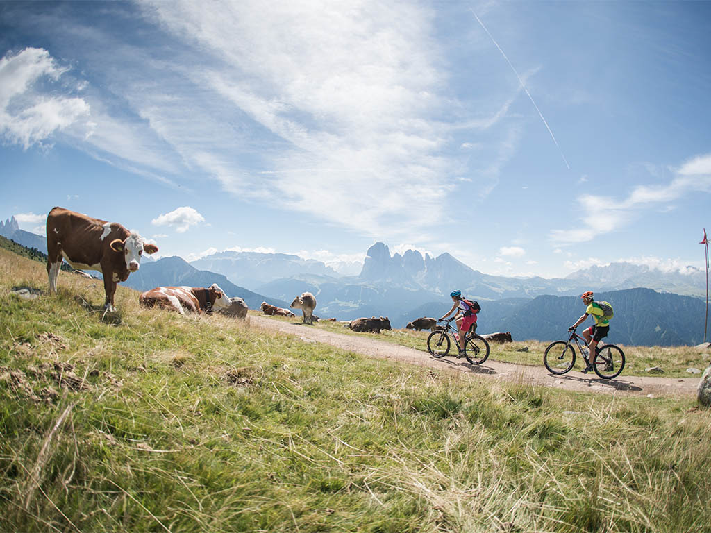 Mountain biking in the Dolomites