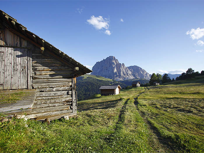 Baita di montagna