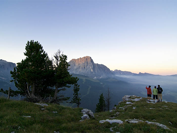 Hiking to the Stevia mountain