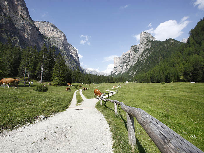 Vallunga in Val Gardena